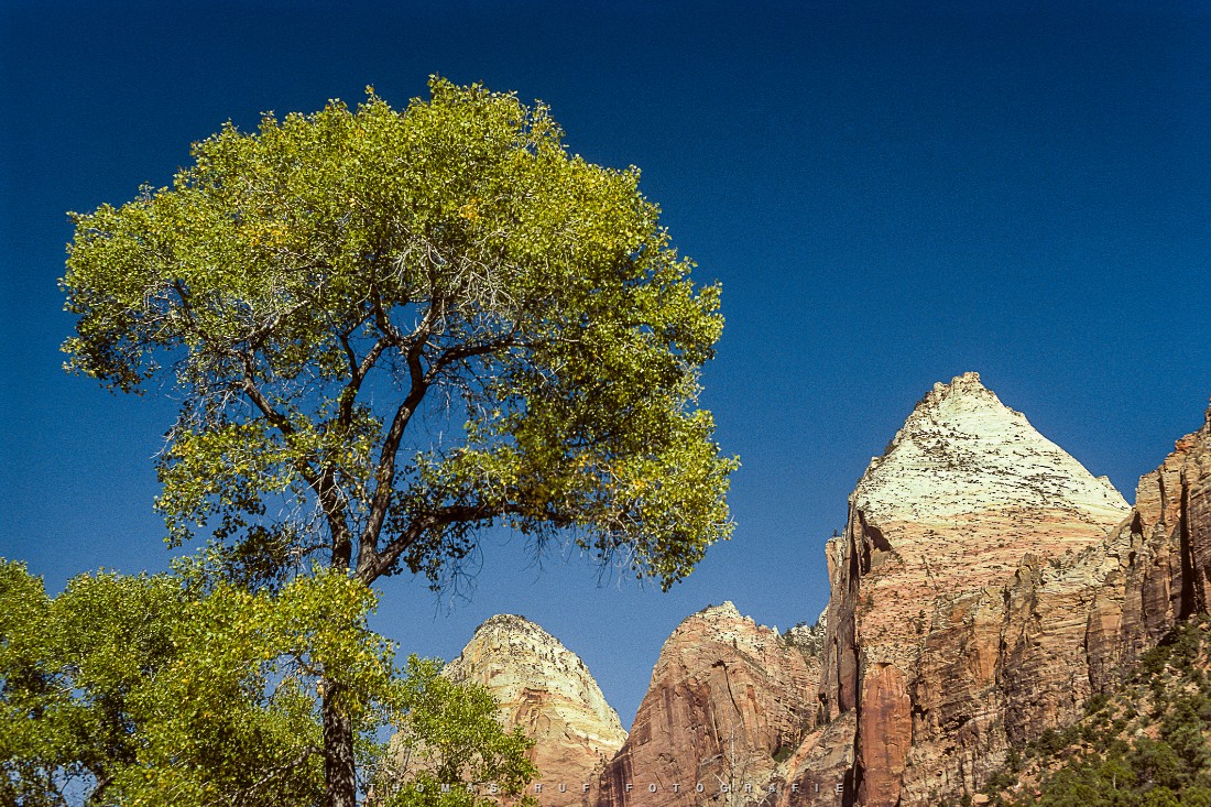 USA 1992 168